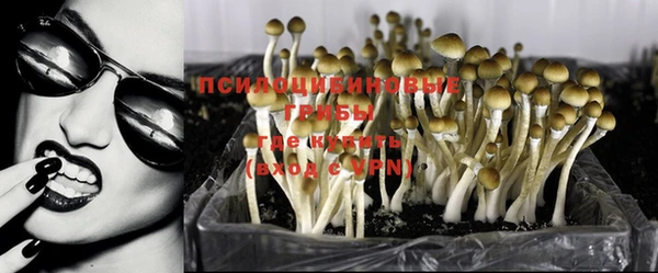 герыч Алзамай