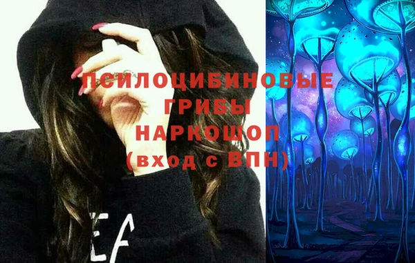 спайс Алексеевка