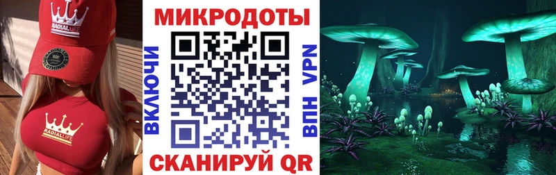 Галлюциногенные грибы MAGIC MUSHROOMS  omg ТОР  Куровское  наркотики 
